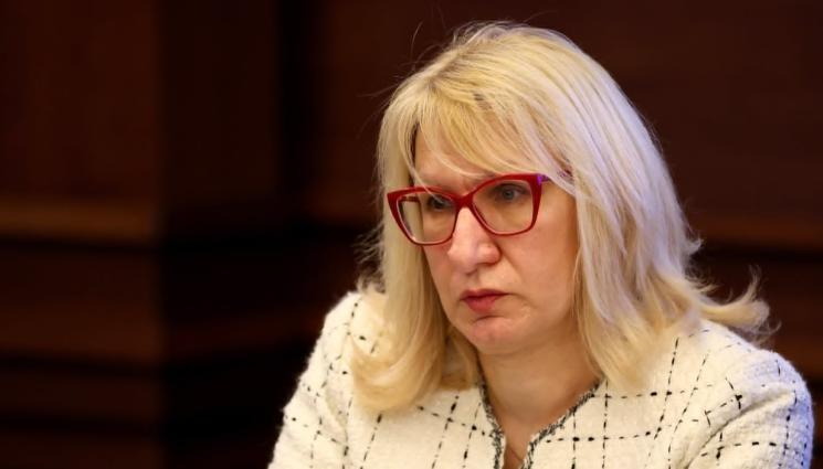 Цветелина пенева - Цветелина Пенева от Обществения съвет към ЦИК пред