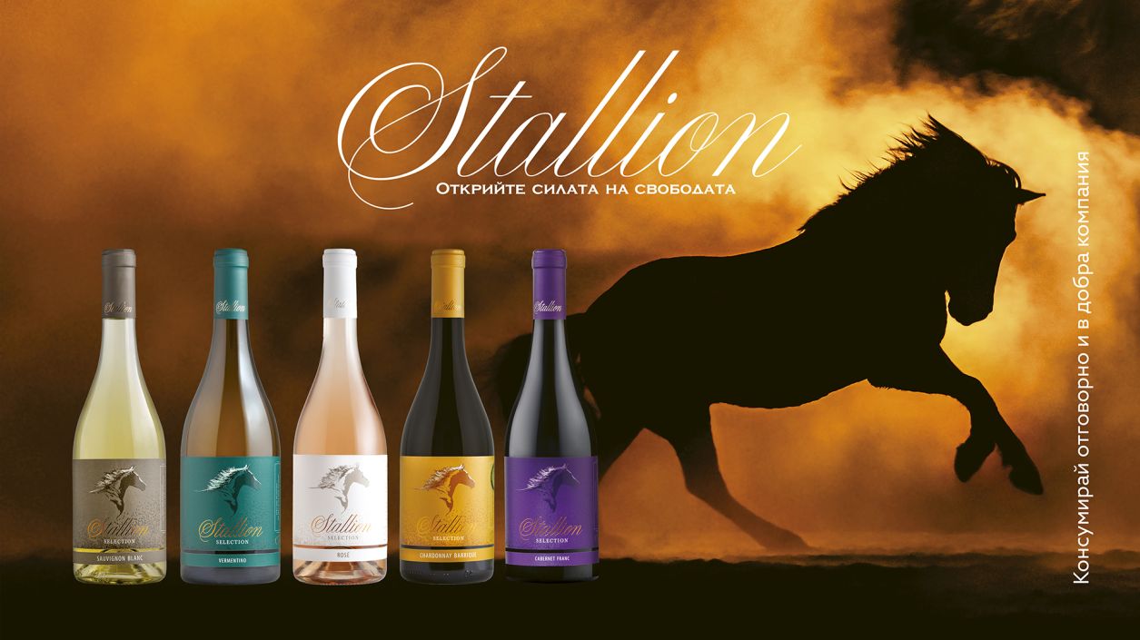 Stallion