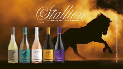 Stallion