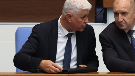 Димитър Стоянов и Румен Радев