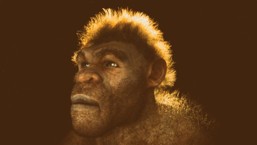 Компютърно генериран 3D портрет на пещерен човек