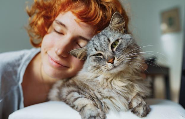 Домашна котка и стопанин