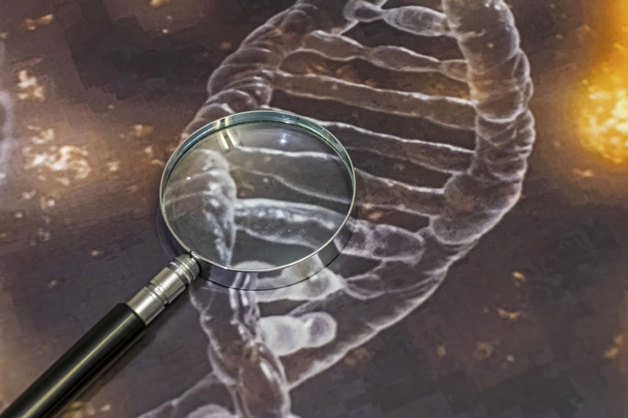 ДНК разкри вековна мистерия: Как наистина е починал владетелят от Медичите Франческо I