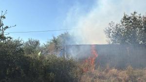Пожар в района на благоевградското село Дъбрава