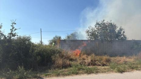 Пожар в района на благоевградското село Дъбрава