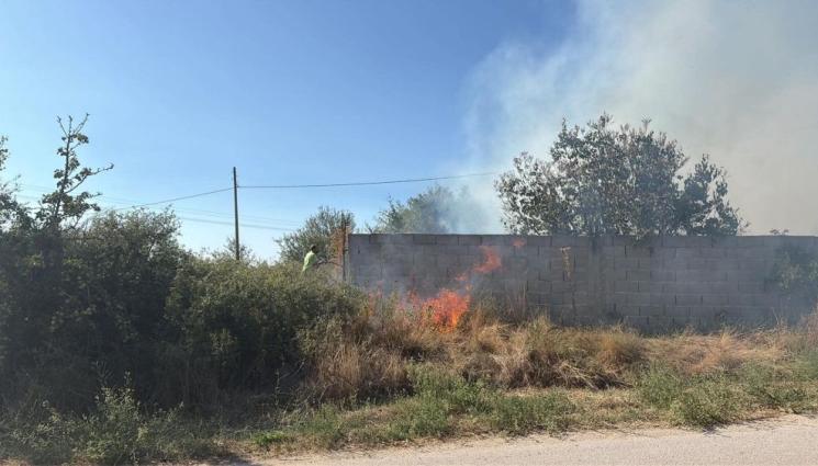 Пожар в района на благоевградското село Дъбрава