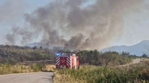 пожар Виноградец