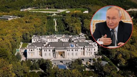 путин доврец