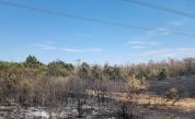Пожарът край село Камен връх е овладян