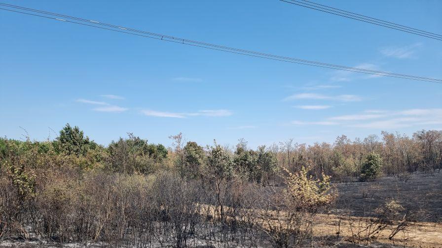 Пожарът край село Камен връх е овладян