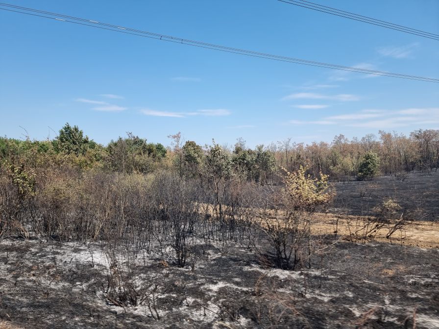 Пожарът край село Камен връх е овладян