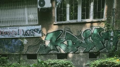 кученце