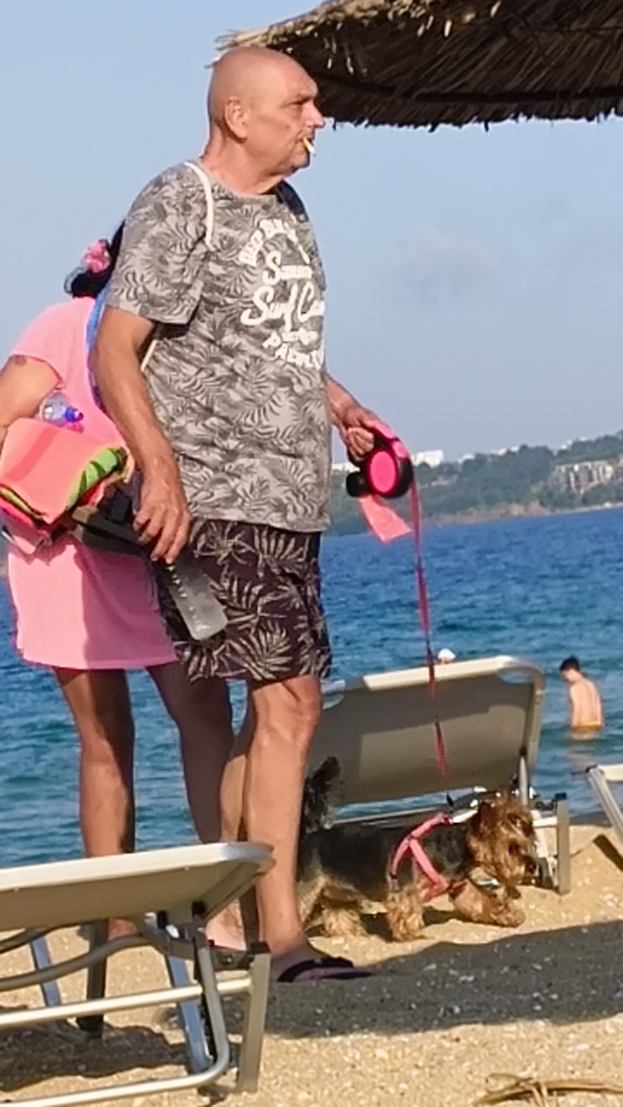 куче море