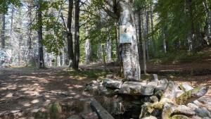 река Арда Родопи извор