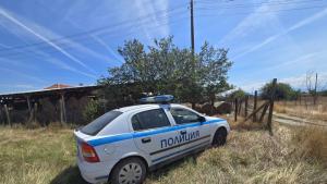 убийство овчарник Съединение