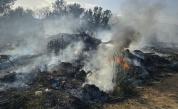 Пожарът край Рупите отново се разгоря