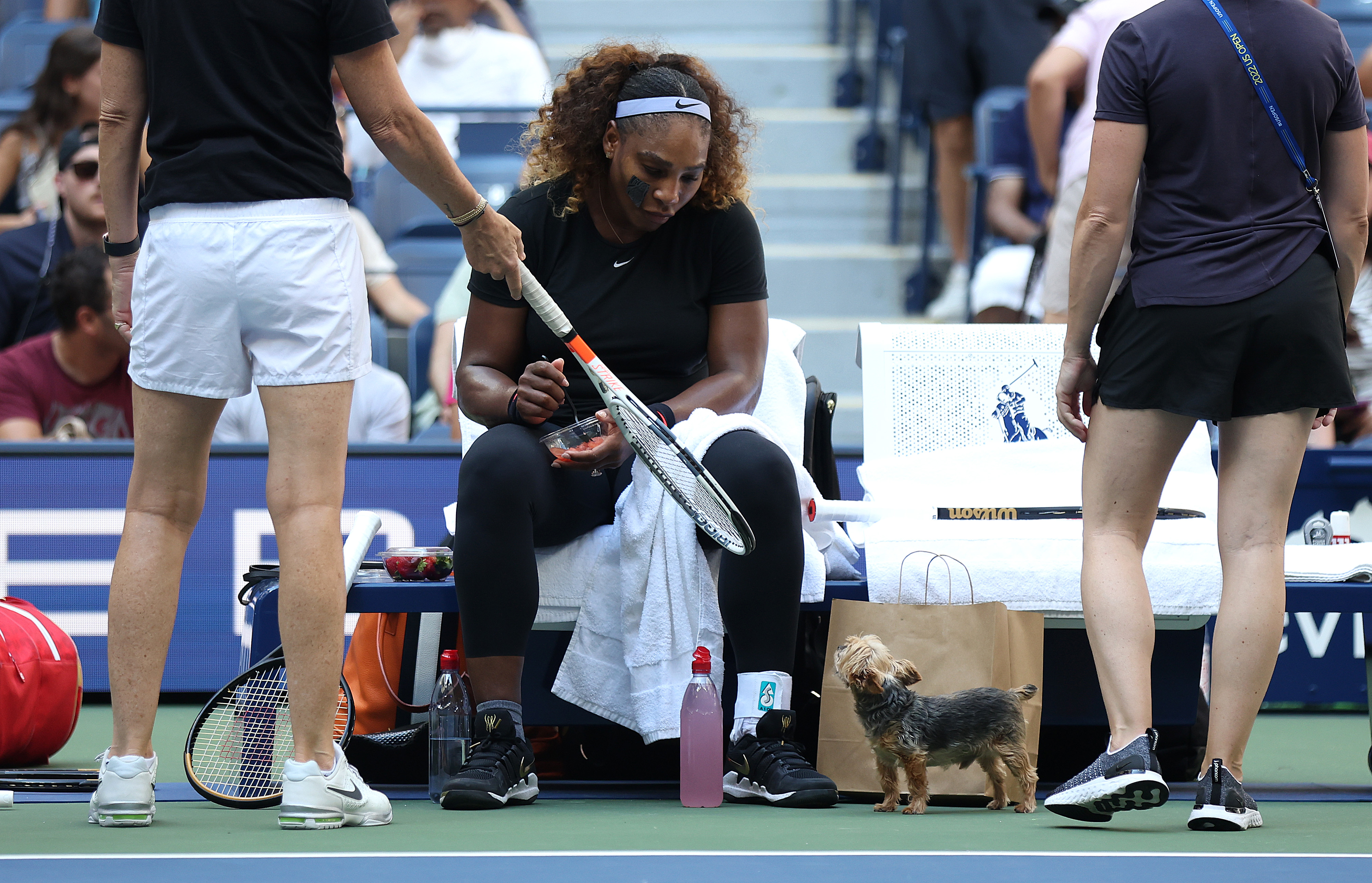 Серена и Чип преди US Open през 2022 г.