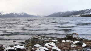 Арктически води край Аляска
