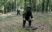 Отркиха 53 невзривени боеприпаса край Белица