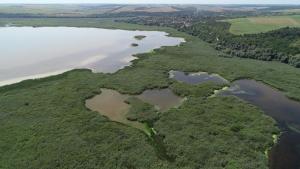 Сребърна