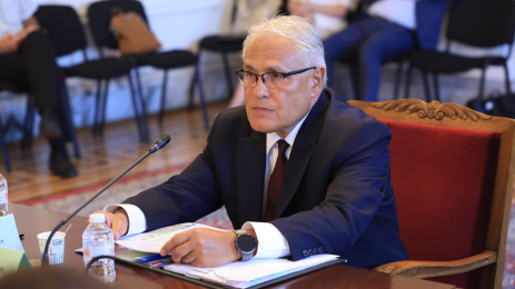 владимир даскалов