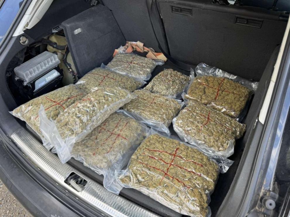 Софийска градска прокуратура привлече и задържа до 48 часа непълнолетен за държане с цел разпространение на близо 10 кг коноп