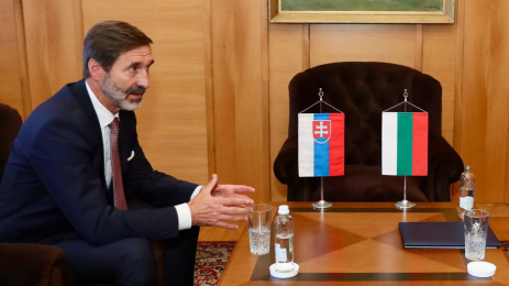 велислава делчева среща