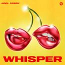 Joel Corry
