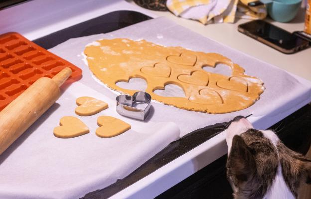 куче сладки