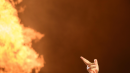 David Guetta