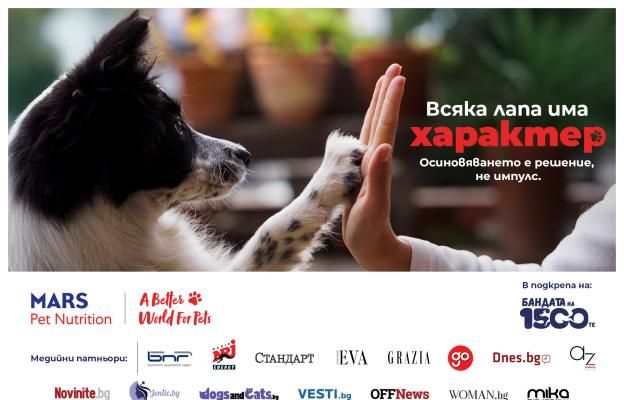 кучета осиновяване