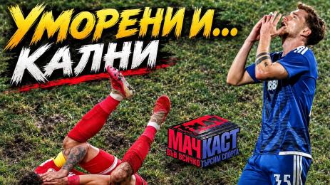 Мачкаст