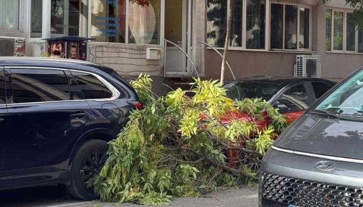 о