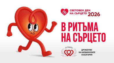 Сърце