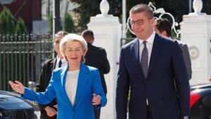 Фон дер Лайен и Мицкоски