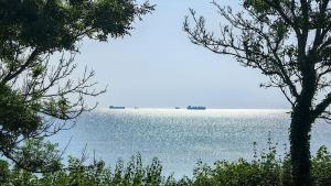 кораби черно море