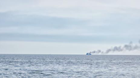 Черно море