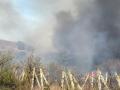 пожар изворище