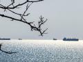 търговски кораб черно море