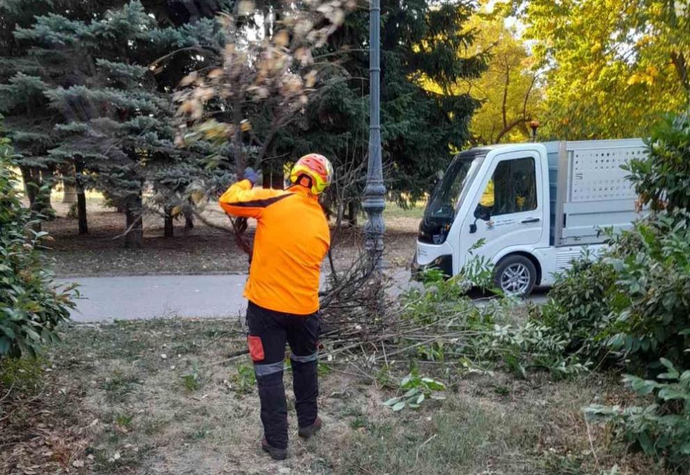 електричеки камиончета