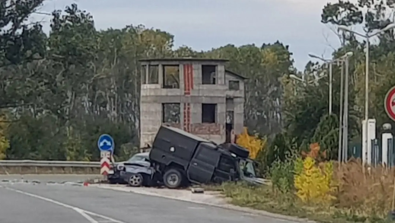 д