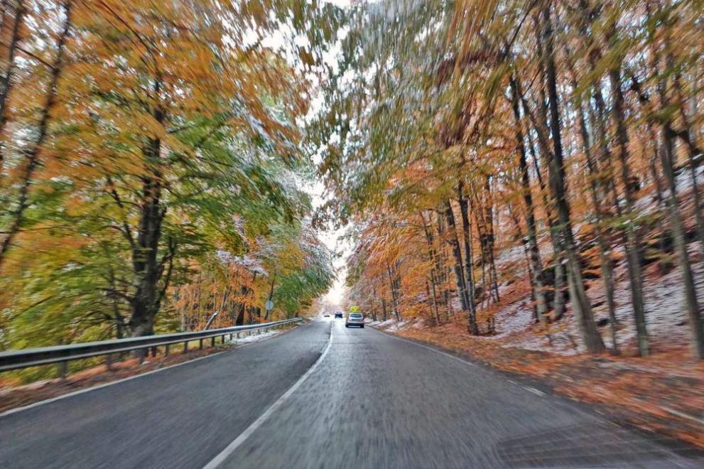 сняг Петрохан