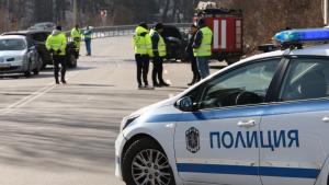 София Перник Владая