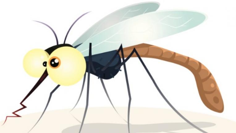 7 факта за комарите, които вероятно не знаете