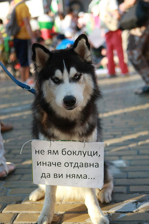 За девети ден десетки хиляди хора поискаха оставка на правителството. Според много от присъстващите на протеста той е бил най-многолюдният досега. От МВР няма информация колко хора са се включили в шествията.