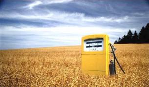 Някой не иска биогорива в България