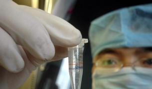 Свинският грип дойде до Турция