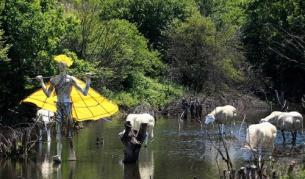 Павел Койчев. Водна паша" - стериопор и дърво, 2009