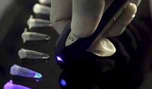 Още седем проби за свински грип отрицателни