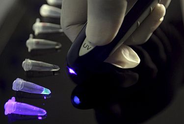 Още седем проби за свински грип отрицателни